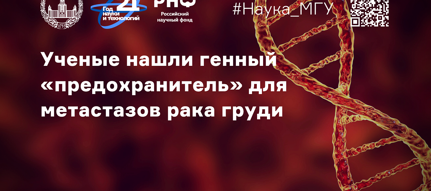 Ученые нашли генный «предохранитель» для метастазов рака груди