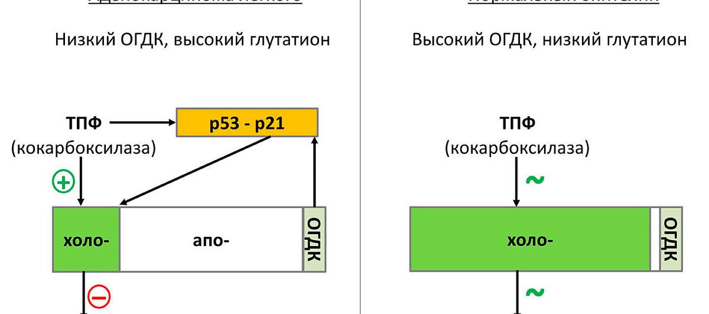 Лекарственная форма витамина B1 способна подавить рак легкого